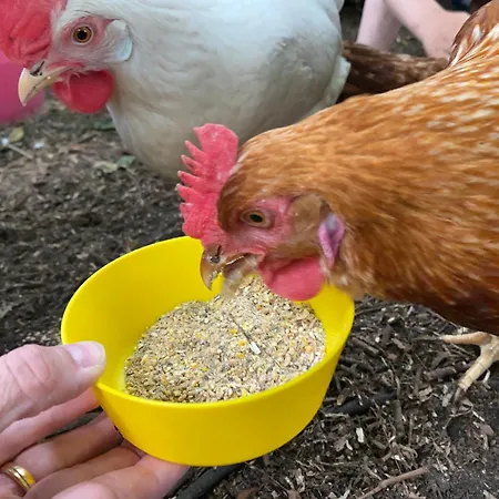 別荘 Wuebbold - 52nord Rieste