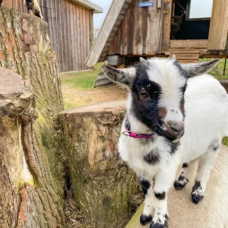 Wuebbold - 52nord 別荘 Rieste