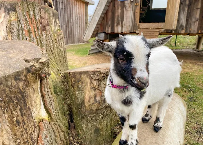 Elas's Hof - 52nord Casa de Férias Rieste